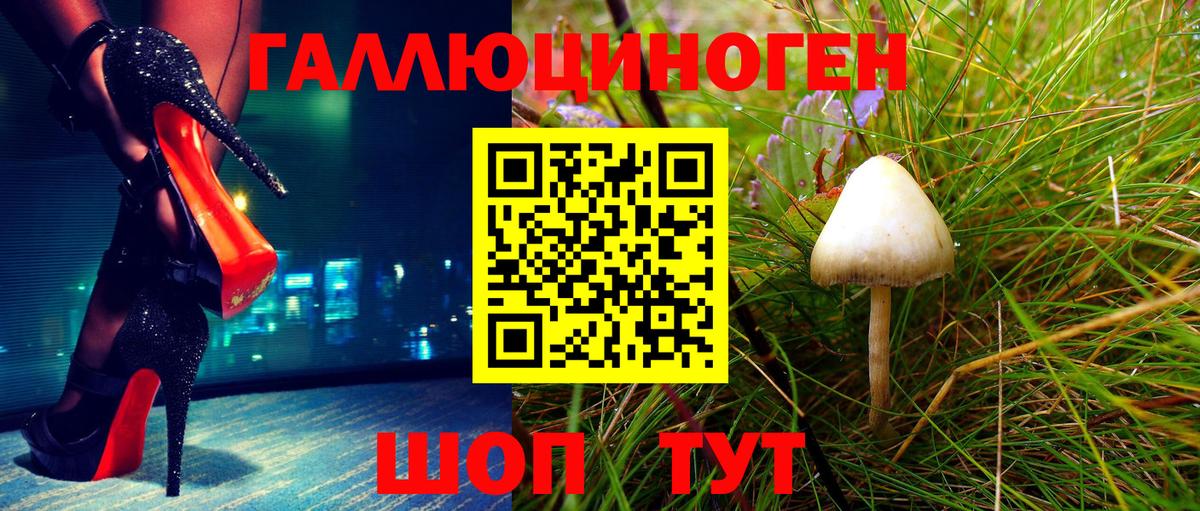 Петропавловск-Камчатский  Галлюциногенные грибы Cubensis  Вход с VPN  Галлюциногенные грибы мицелий 